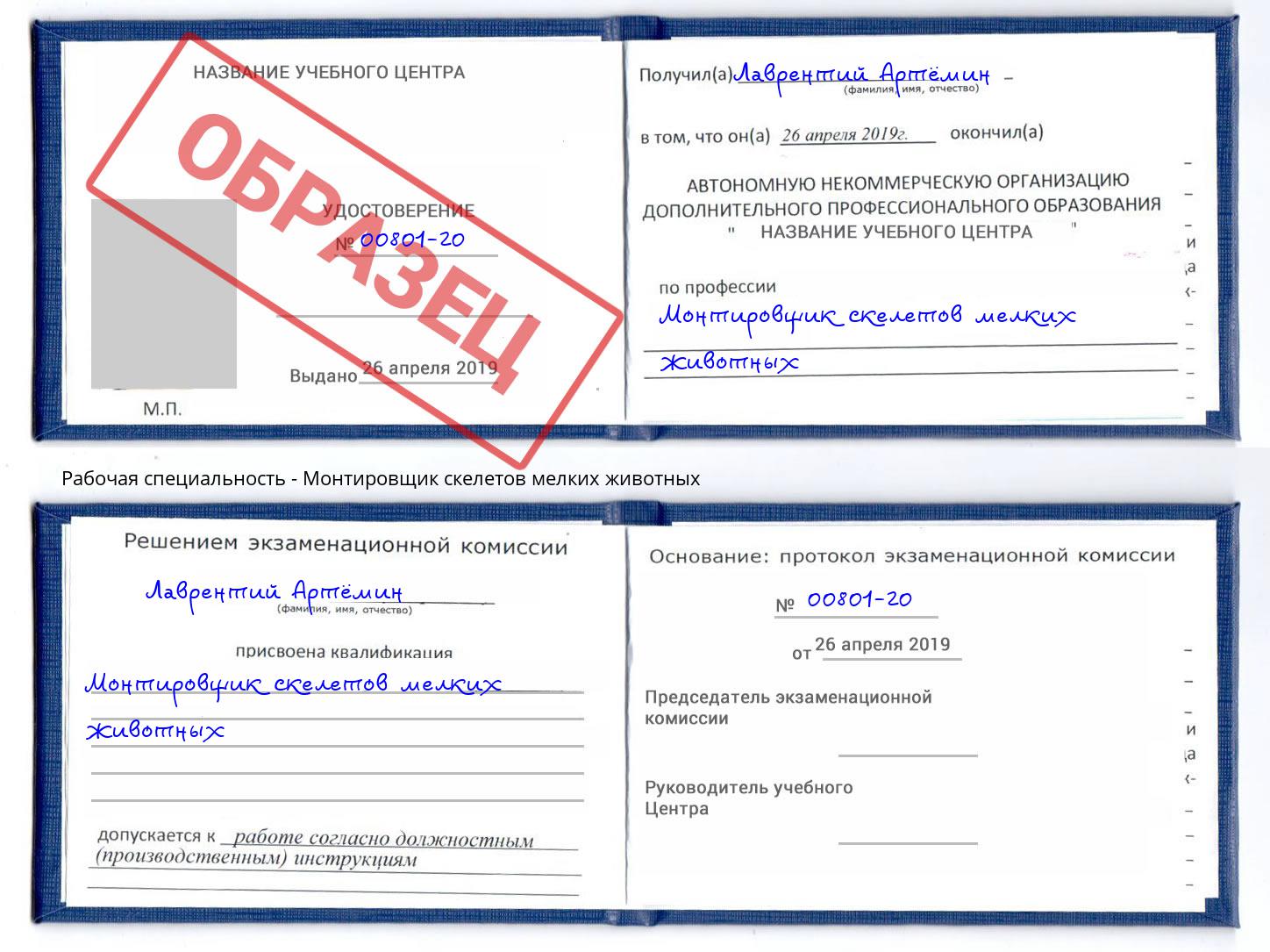 Монтировщик скелетов мелких животных Славянск-на-Кубани